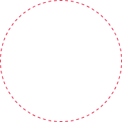 金新鮮無毒白蝦