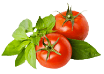 金新鮮無毒白蝦