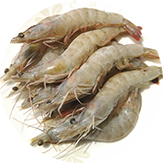 金新鮮無毒草蝦